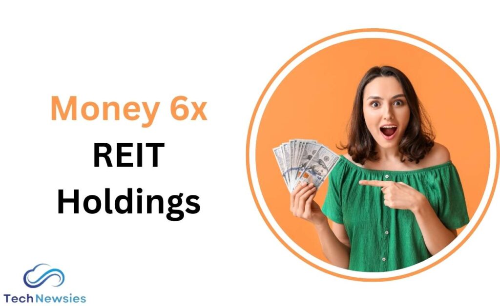 Money 6x REIT Holdings