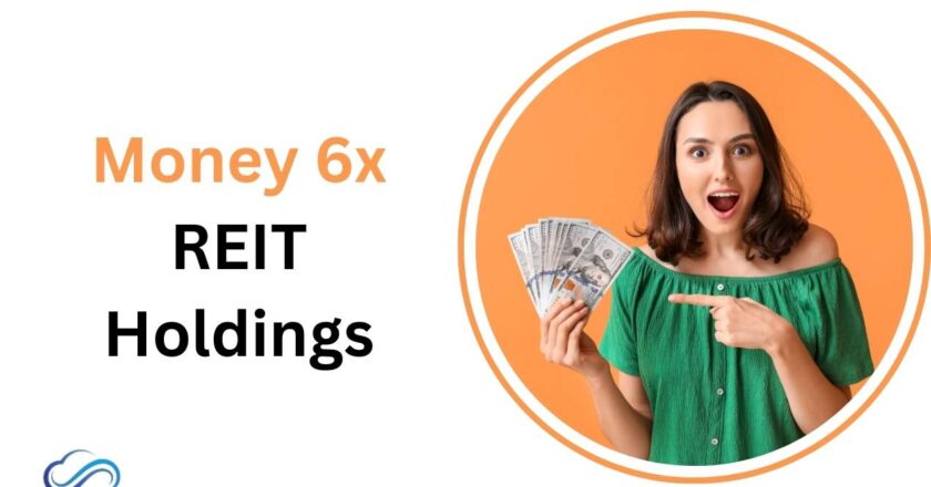 Money 6x REIT Holdings