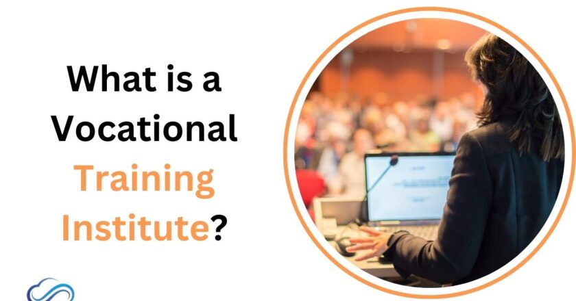 What is a Vocational Training Institute?